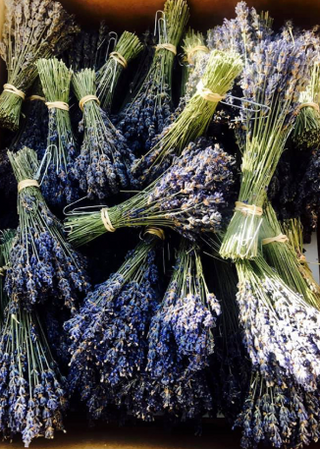 Lavender Syrup
