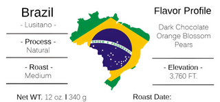 Brazil - Lusitano