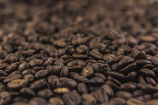 New and Exiting Coffees